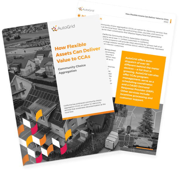 how flexible assets can deliver value to ccas mockup